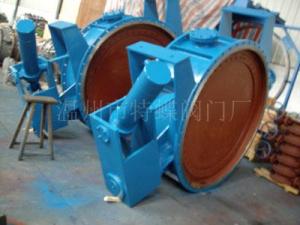 Hydraulic type flap valve