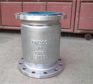 Vertical check valve